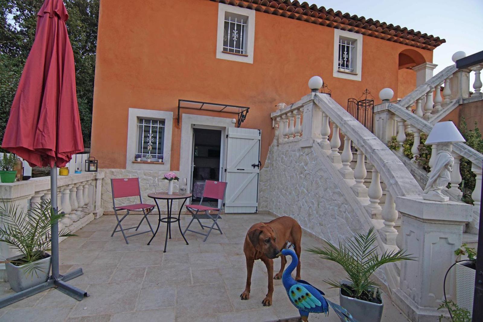 Chez Amali - Stielvolle Ferienwohnung In Der Provence Mit Terrasse Brignoles Exteriér fotografie