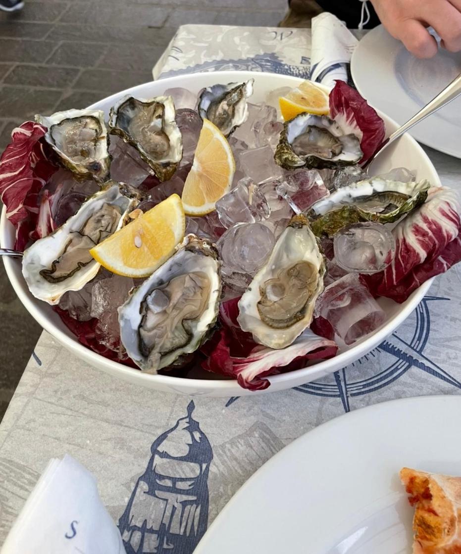 Chez Amali - Stielvolle Ferienwohnung In Der Provence Mit Terrasse Brignoles Exteriér fotografie